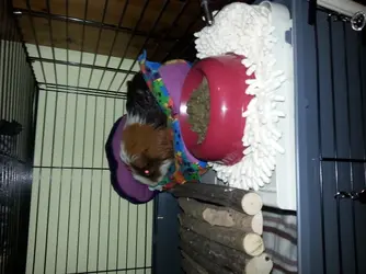 20140113_215536.webp