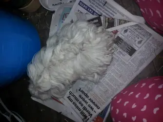 20140121_080020.webp