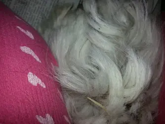 20140121_080100.webp