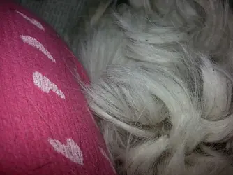 20140121_080121.webp
