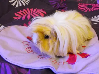 DSCF7240.webp