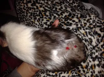 2014-01-30 19.10.14.webp