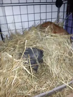 2014-02-02 16.28.38-Optimized.webp