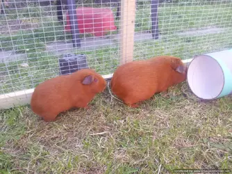 20120526_190647-Optimized.webp 20120526_190647-Optimized.webp