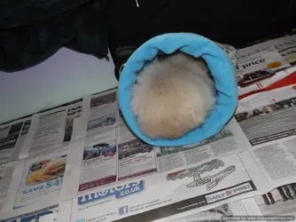 DSCF2727-Optimized.webp