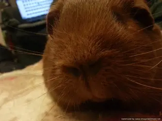 2014-02-14 23.02.18-1-Optimized.webp