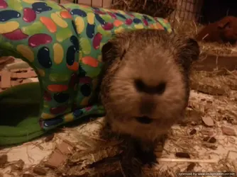 2014-02-14 23.13.13-Optimized.webp