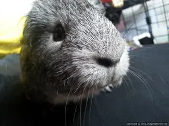 2014-02-15 14.53.43-1-Optimized.webp