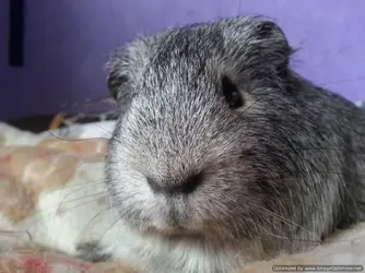 2014-02-15 14.56.53-Optimized.webp