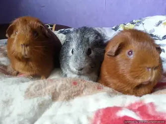 2014-02-15 15.02.21-Optimized.webp
