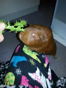 2014-02-16 00.39.48-Optimized.webp