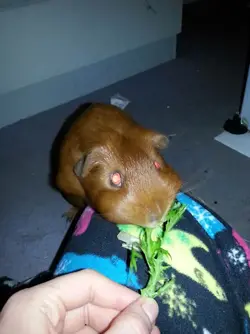 2014-02-16 00.41.46-Optimized.webp