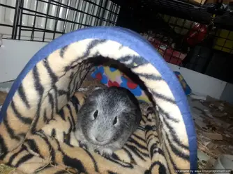 2014-02-16 20.21.22-Optimized.webp