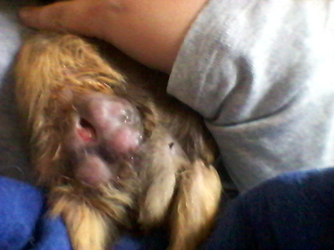 20150729_164736.webp