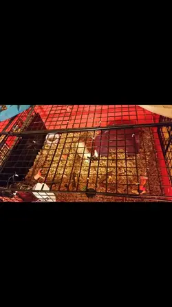 Screenshot_2015-08-12-23-37-48.webp