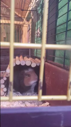 20150818_201342.webp