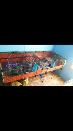 Screenshot_2015-08-20-15-07-26.webp Screenshot_2015-08-20-15-07-26.webp