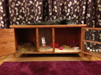 Hutch.webp Hutch.webp