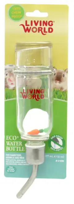 Living world glass water bottle hotsell