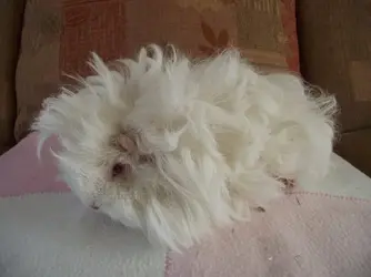 DSCF6033.webp