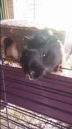 20150604_170256.webp