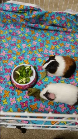 20151029_164731.webp