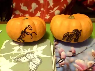 pummpkins.webp
