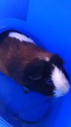 baths suck.webp baths suck.webp