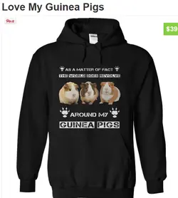 guinea pig hoodie.webp