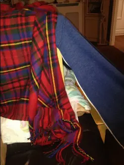 image.webp