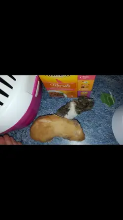 Screenshot_2015-11-20-19-09-32.webp