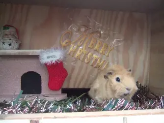 DSCF4828.webp