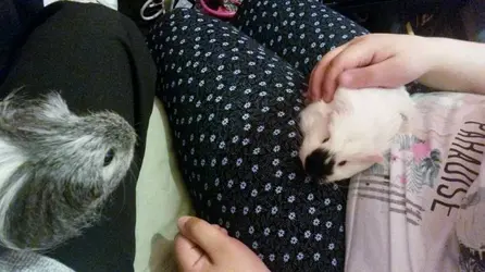 Marley and Esme 3.webp Marley and Esme 3.webp