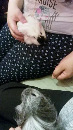 Marley and Esme 2.webp Marley and Esme 2.webp