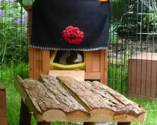 Keeping watch.webp