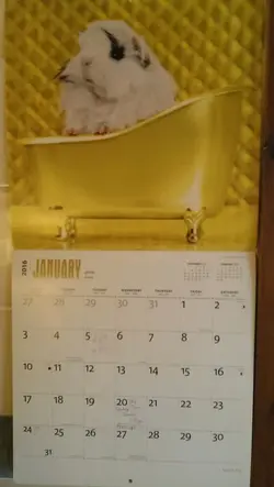 IMAG1795.webp