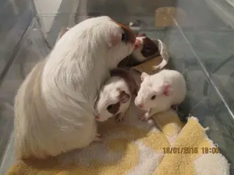 Margaret and babies.webp