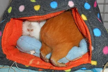 upload_2016-1-23_20-34-38.webp