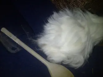Winchester-20140220-00019.webp