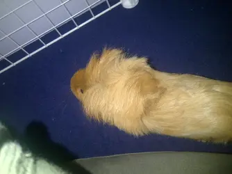 Winchester-20140220-00027.webp