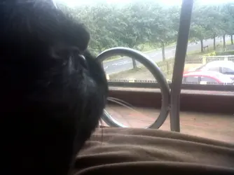 Down-20130724-00745.webp