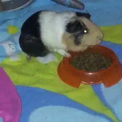 kqwjklqwjelkqw.webp