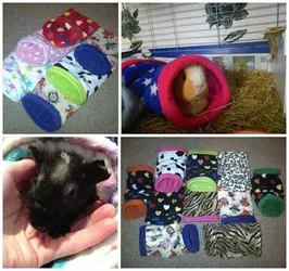 snuggle tunnel.webp