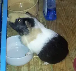 djlkwjeklqwekqjweklqjkwe (5).webp