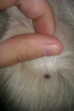 IMAG0372.webp