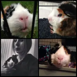 image.webp