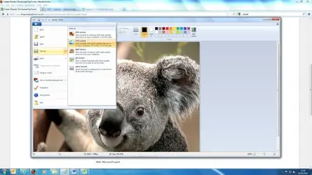 paint5.webp