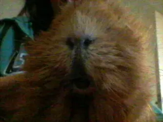 20160227_194556.webp