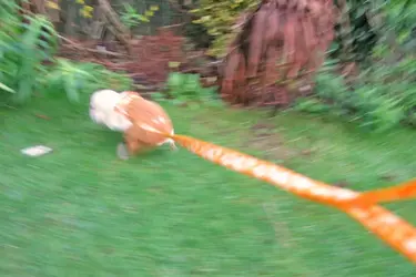 upload_2016-3-1_17-44-37.webp