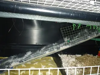 P1120842.webp P1120842.webp